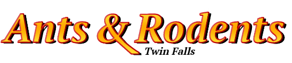 Twin Falls Ant Exterminator & Rodent Control Company Logo